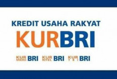 TERBARU! Tabel KUR BRI November 2023 Bunga Lebih Rendah, Ini Syarat Pinjaman yang Perlu Disiapkan