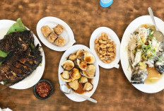 Lokasi dan Jam Operasional Jumbo Seafood Resto Teluk Betung Selatan Lampung, Ada Ragam Olahan Ikan, Kepiting, Udang, Cumi, dan Kerang