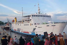 Jadwal Kapal Laut Surabaya-Kumai Februari 2023, Tersedia Kapal PELNI dan DLU