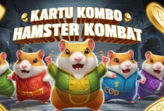 Combo Harian Hamster Kombat Hari Ini 17 Juni 2024 Masih Aktif 100% Work! 5 Juta Koin Masuk Kantong