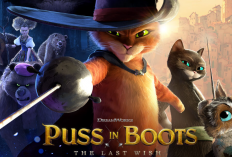 Nonton Film Puss in Boots The Last Wish (2022) Full Movie Sub Indo, Pertarungan Kucing Oren Dengan Sembilan Nyawanya