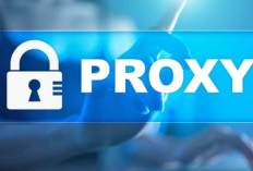 Download Blue Proxy Gratis Terbaru 2024, Bisa Buka Situs Bokeh Gratis Tanpa Pake Ribet!