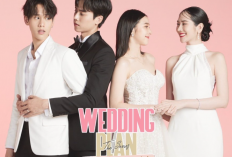 Link Nonton Drama BL Thailand Wedding Plan (2023) Sub Indo Full Episode Legal, Bukan di LokLok Atau DramaQu