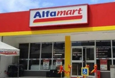 Koperasi Karyawan Alfamart Sediakan Pinjaman Uang Anti Ribet dan Langsung Cair? Cek Disini!
