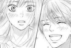 Manga Kimi Ni Todoke VF Scans Chapitre Complet, Synopsis et Où le lire en Français Légalement