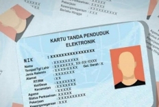 Kemdagri Berikan Ijin Akses Data Penduduk Ke Perusahaan Pinjol, Amankah Informasi Datamu?