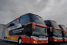 Agen Bus Rosalia Indah di Solo, Berikut Alamat dan Kontak Untuk Pemesanannya