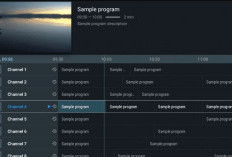 Download TiviMate IPTV Player Premium Apk Mod Latest Version 2024: Unlocked All! [Panduan Lengka]