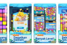 Aplikasi Crazy Quiz Penghasil Uang, Apakah Terbukti Membayar? Cek Fakta dan Review dari Penggunanya