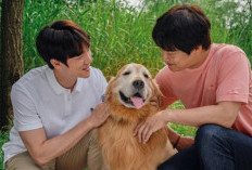 Link Nonton Film Korea My Heart Puppy / Meongmongi (2023) Sub Indo Full Movie Perjalanan Seru Min Soo dan Jin Gook Bersama Sang Anjing 
