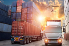Apakah PT Premier Logistik Expresindo Penipuan? Waspada Pialang! Cek Fakta Lengkapnya dari Pelamar