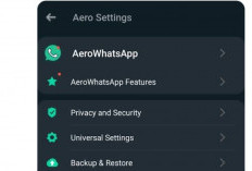 Link Download WA Aero Terbaru 2024 Versi Terbaru GRATIS Anti-Ban Lihat Pesan yang Dihapus