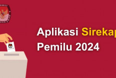 Hardware Biometrik Tidak Tersedia di SIREKAP? Begini Cara Mudah Mengatasinya! Gampang Gak Pakai Ribet