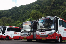 Jadwal Bus dari Gilimanuk ke Denpasar Pagi Hingga Malam Terbaru 2023, Dilengkapi dengan Info Harga Per Penumpang