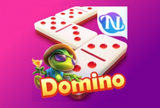 CEK & KLAIM Kode Penukaran Higgs Domino Hari Ini, Rabu 20 Desember 2023, Ada Bonus Chip 4B Menanti!