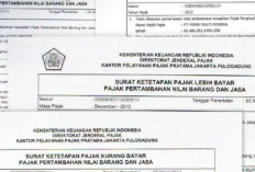 Contoh Format Surat Penutupan Perusahaan Untuk Pajak, Pernyataan Tidak Ada Kegiatan Usaha atau Penghasilan