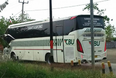 Rekomendasi Bus Karawang Cirebon PP Terbaik, Dilengkapi dengan Harga Tiket dan Jadwal