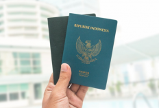 Cara Bedakan Paspor Biasa dan Elektronik, Buat Kamu yang Ingin Pergi Keluar Negeri Gak Perlu Bingung!