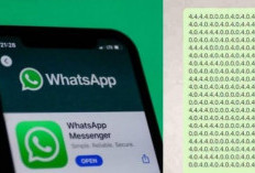 Apa Itu Video Virtex WhatsApp? Mengenal Lebih Jauh Tentang Bahaya dan Cara Mengatasi