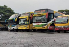 Harga Tiket Bus Makassar Manado, Bisa Pakai 2 Armada Ini!