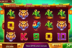 Kesempatan Menang Besar! Pola Gacor Room Panda Higgs Domino Hari Ini 5 Desember 2023, Buruan Spin Sekarang Juga