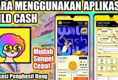 Wild Cash Apk Apakah Aman? Ulasan dari Pengguna Beberkan Trik Main Anti Penipuan!