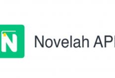 Apakah Novelah Terbukti Membayar? Berikut Review Aplikasi Penghasil Uang Populer Indonesia