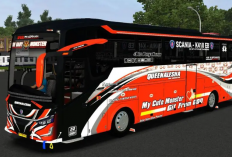 Download Mod Bussid SR3 Single Glass Terbaru 2024, Kualitas Bus Jadi Super Detail!