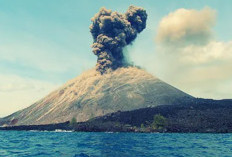 Masih Dilakukan Pencarian! 5 Jurnalis Hilang Kontak Saat Hendak Meliput Anak Krakatau, Basarnas Turun Tangan