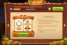 Top Up Higgs Domino 2b Via DANA Jauh lebih Murah! Kok Bisa? CekTutorialnya Disini Sekarang Juga!