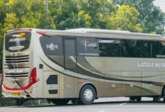 Rekomendasi Bus Purwokerto Bandung Dengan Tarif Murah Lengkap Beserta No Agennya 