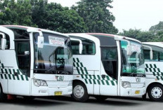 Jadwal Bus CBU Majalengka - Cikarang Tahun 2023 Beserta Informasi Harga Tiket dan Cara Pemesanannya Via Online