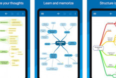 Daftar Aplikasi Membuat Peta Konsep di HP Jadi Lebih Mudah, Bisa Pilih Tema yang Kreatif dan Menarik!