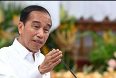 Jokowi Larang Jual Rokok Eceran Mulai 2023, Alasannya Demi Pelajar dan Warga Miskin