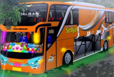 Download Kodename Bussid v4.2 Paling Lengkap 2024, Bisa Modif Skin Bus mu Jadi Makin Cantik dan Gak Ngebosenin!