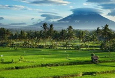 Berapa Lama Proses Pengurusan Berkas di Badan Pertanahan Nasional Kota Denpasar? Durasinya Ternyata Cuma Segini!