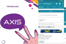 Download Config HTTP AXIS Seumur Hidup Terbaru Juni 2024, Manfaatkan Bug Demi Internetan Gratis Selamanya!