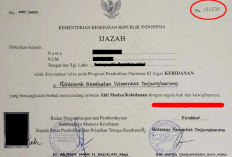 Cara Melihat Letak Nomor Ijazah S1 dan D3, Begini Cara Bacanya Dengan Baik Dan Benar!