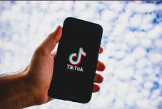 Bikin Konten Viral! Cek Jadwal Posting FYP TikTok Hari Ini 28-29 Desember 2023, Dijamin Pasti Banyak Viewers