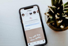 Rekomendasi Ide Konten yang Menarik di Instagram Hari Ini Senin 1 Januari 2024 Spesial Tahun Baru Bisa Buat Resolusi Baru 