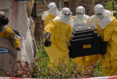 Ebola Menggila Lagi di Afrika: WHO Tetapkan Status Darurat Global Akibat Varian Langka Tanpa Vaksin, Total Ada 900 Kasus