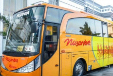Rekomendasi Armada Bus Kudus Solo Murah dan Aman, Nyaman Banget Buat Perjalanan Antar Kota 