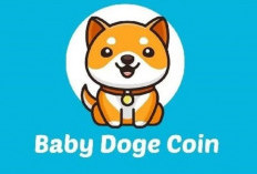 UPDATE! Prediksi Harga Baby Doge Coin 2025-2030, Atasi Masalah Investasi Kriptomu dalam Sekejap