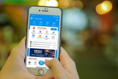 Rekomendasi APK Penghasil Saldo DANA Tercepat Maret 2024, Anti Tipu-Tipu! Langsung Cair 24 Jam