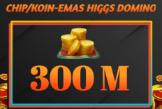 Cara Top Up 300M Koin Emas Higgs Domino di Itemku Terbaru 2024, Banyak Pilihan Metode Pembayaran yang di Inginkan