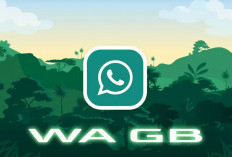 Update Download Whatsapp GB Mod Apk 2023, Banyak Fitur Menarik Bikin Status Hingga 7 Menit!