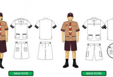 Baju Pramuka SD Putra-Putri, Disertai dengan Atribut Lengkapnya