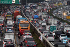 Cara Daftar Mudik Gratis Bulog 2024 Lengkap Dengan Rute dan Jadwal Keberangkatannya, Cekidot! 