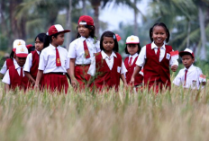Latihan Soal ASPD Bahasa Indonesia Kelas 6 SD Tahun Ajaran 2024/2025 dan Kunci Jawabannya, Belajar Jadi Makin Mudah