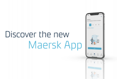 Cara Kerja Maersk Investasi APK Penghasil Uang, Awas Kena Scam! Ternyata Begini Alur Dananya